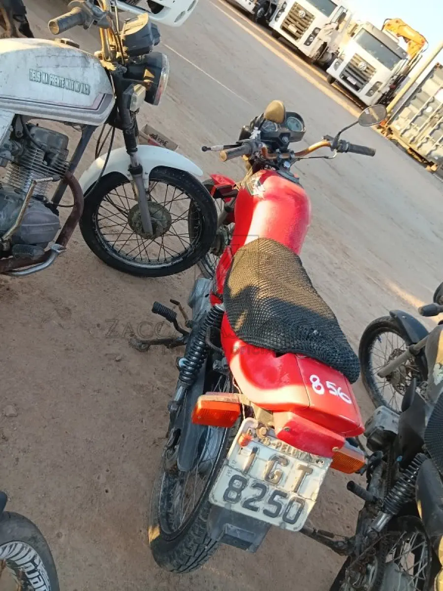 LOTE 0003