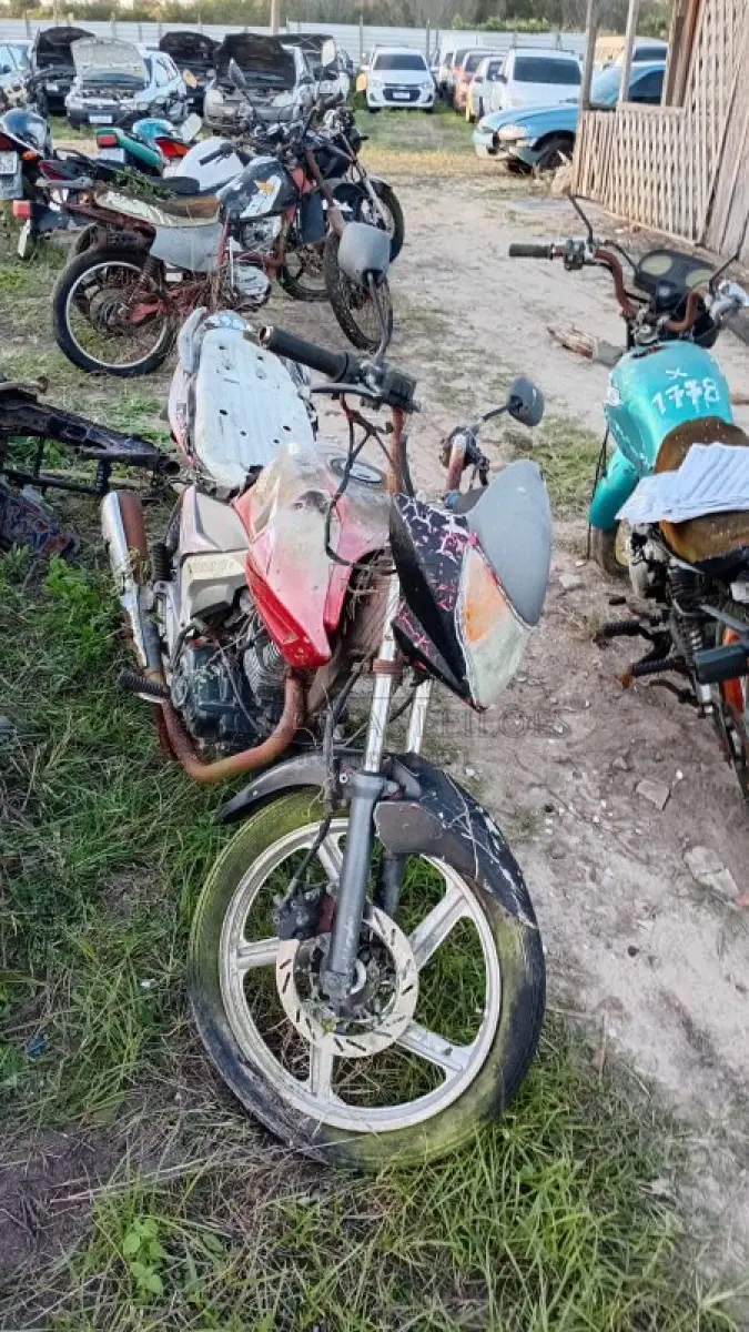 LOTE 0113