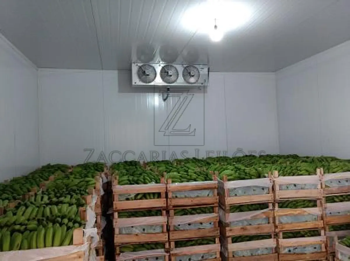 LOTE 001 - Câmara fria para resfriamento, medindo 5m x 5m, em  bom estado de conservação e funcionamento.