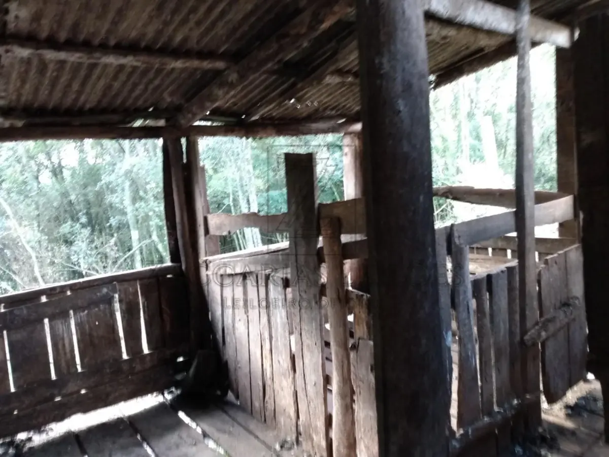LOTE 004 - UMA AREA DE TERRAS DE CULTURA, localizada em São Jorge-RS, com a área de 80.058,00m² de forma  irregular, confrontando: ao NORTE, por linha seca, com terras de II Abraão; ao SUL, por linha seca, com  terras de Ermindo Pelissarí; ao LESTE, pela estrada municipal que liga os municípios de São Jorge a  Guabijú, com terras de Juarte Fracasso; e ao OESTE, com terras de Ivan Dall Agnol. P. Benfeitorias: Uma CASA (MISTA) Metragem da Casa mista medindo aproximadamente 150,00m²; Um Chiqueiro em construção mista com 52,00m²; Um chiqueiro antigo de madeira com 45,00m²; Mangueira em madeira com 80,00m²; Um Galpão em madeira com 350,00m²; Um chiqueiro misto com 540,00m², 26 baias, capacidade 400 suínos; Silo para armazenagem de ração com capacidade para 15 toneladas; Depósito para armazenamento de fezes de suínos e Poço artesiano, encamisado, com 96 metros de profundidade.