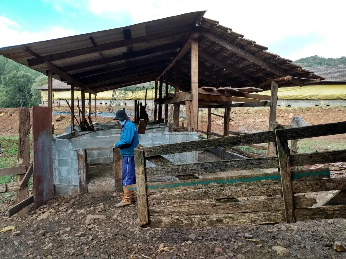 LOTE 004 - UMA AREA DE TERRAS DE CULTURA, localizada em São Jorge-RS, com a área de 80.058,00m² de forma  irregular, confrontando: ao NORTE, por linha seca, com terras de II Abraão; ao SUL, por linha seca, com  terras de Ermindo Pelissarí; ao LESTE, pela estrada municipal que liga os municípios de São Jorge a  Guabijú, com terras de Juarte Fracasso; e ao OESTE, com terras de Ivan Dall Agnol. P. Benfeitorias: Uma CASA (MISTA) Metragem da Casa mista medindo aproximadamente 150,00m²; Um Chiqueiro em construção mista com 52,00m²; Um chiqueiro antigo de madeira com 45,00m²; Mangueira em madeira com 80,00m²; Um Galpão em madeira com 350,00m²; Um chiqueiro misto com 540,00m², 26 baias, capacidade 400 suínos; Silo para armazenagem de ração com capacidade para 15 toneladas; Depósito para armazenamento de fezes de suínos e Poço artesiano, encamisado, com 96 metros de profundidade.