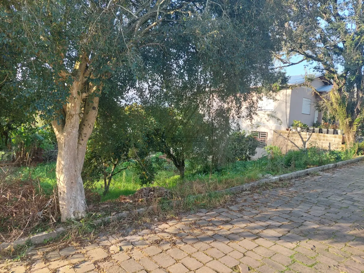 LOTE 001 - Imóvel: 4ª parte do lote rural letra F da Linha Barão do Triunfo, neste município, com área de 375,00m² de terras, com quarta parte no chalet, confinando a área maior: ao norte, com terras do mesmo lote letra F dos vendedores ou que foram de Roberto C. Simonato; ao sul, com o lote letra G; ao leste, com terras do mesmo lote letra F do vendedor ou que foram de Roberto C. Simonato, e ao oeste, com a Estrada Geral nova, nos termos da escritura pública de Compra e Venda, lavrada por Saul S. Santos em 08 de julho de 1958, que citou como origem a transcrição do Livro 3/R nº 14.405 lançada a transcrição em 13 de outubro de 1967, com as condições de “estilo”, tudo conforme Matrícula nº 20.351 no Registro de Imóveis.