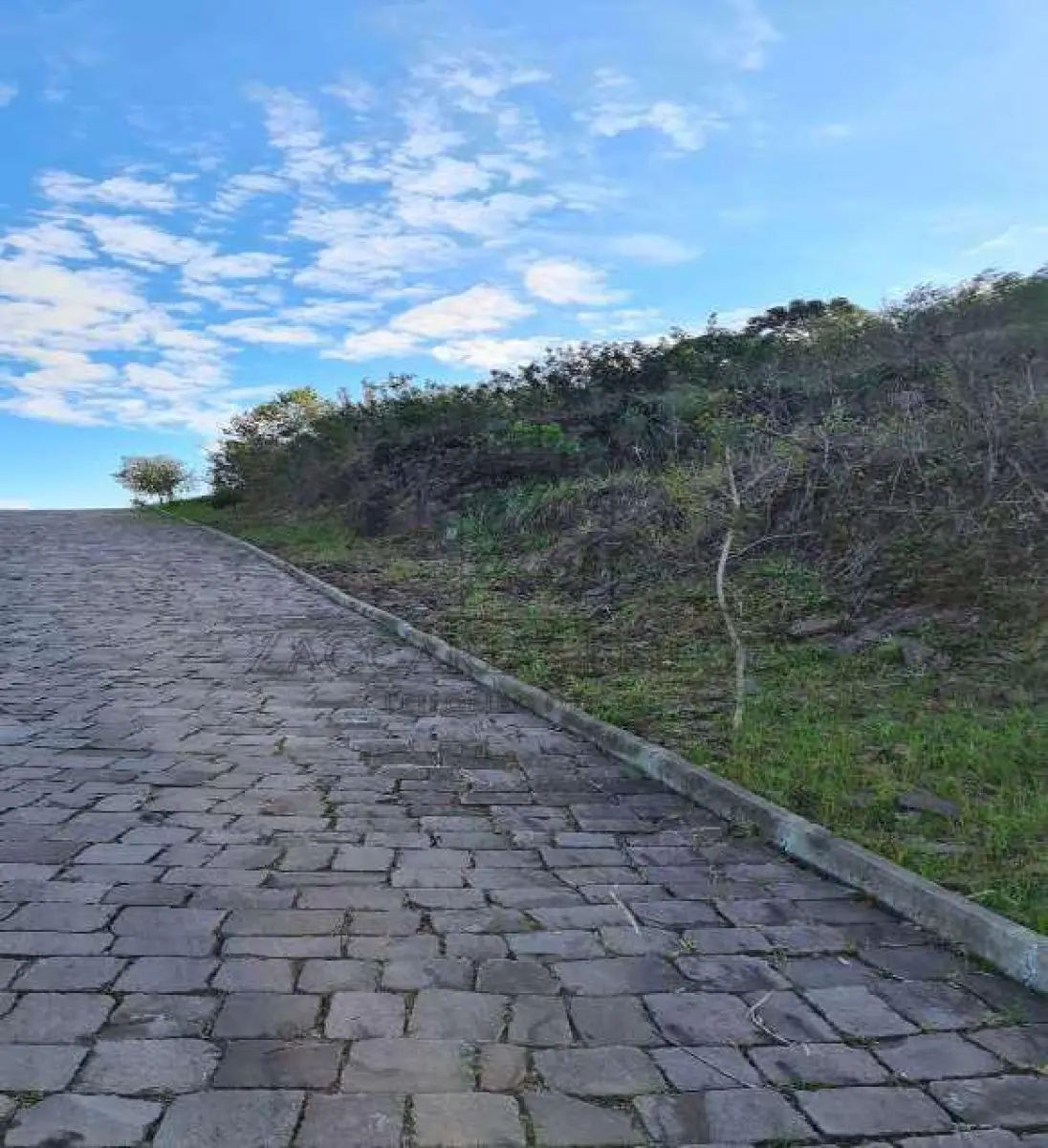 LOTE 002 - Terreno Urbano, Localizado no quarteirão formado pela faixa de domínio da RS/324,  antiga Rua Itália, Ruas da Emancipação e Imigrantes e terras urbanas, nesta cidade, com área de  680,00m², sem benfeitorias, medindo 20,00m de frente, ao OÉS-SUDOESTE, à faixa de domínio da  RS/324, atingida pela Rua Itália, lado par, por 34,00m de extensão da frente ao fundo, por ambos os lados,  o qual entesta no fundo, ao LÉS-NORDESTE, onde tem a mesma medida da frente, confrontando com  terras urbanas de Ivo José Dagnese outro, dividindo-se por uma ldo, ao NOR- NOROESTE, com terreno de  propriedade de Ivo Jose Dagnese, donde dista, pelo alinhamento dos números pares da Rua Itália, 207,34m  da esquina da Rua Emancipação; e, pelo outro lado, ao SU-SUDESTE, confrontando com terreno de  propriedade de Ivo José Dagnese. MATRÍCULA nº 2176 do livro 2 do REGISTEO DE IMÓVEIS de NOVA  BASSANO.