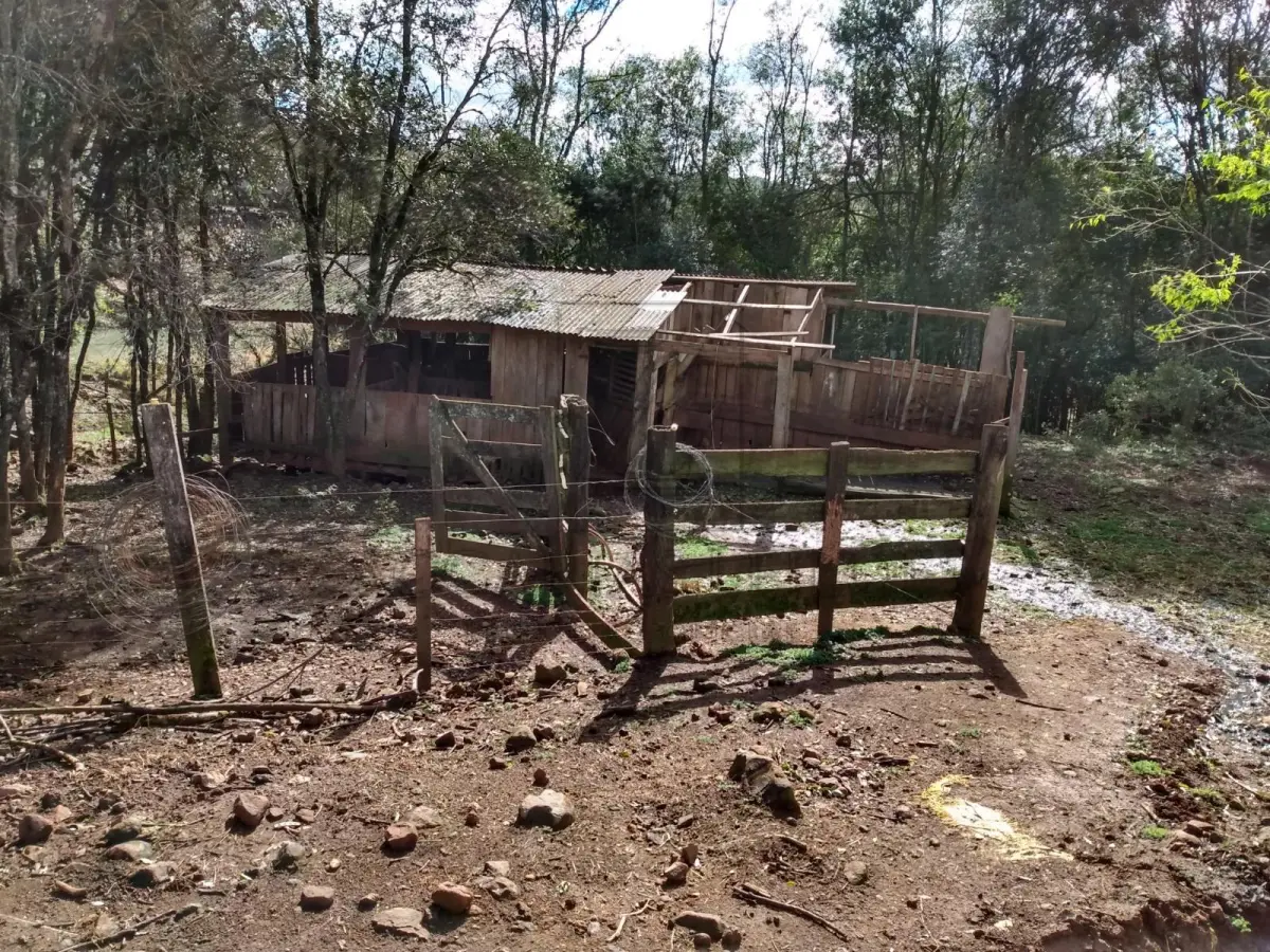 LOTE 004 - UMA AREA DE TERRAS DE CULTURA, localizada em São Jorge-RS, com a área de 80.058,00m² de forma  irregular, confrontando: ao NORTE, por linha seca, com terras de II Abraão; ao SUL, por linha seca, com  terras de Ermindo Pelissarí; ao LESTE, pela estrada municipal que liga os municípios de São Jorge a  Guabijú, com terras de Juarte Fracasso; e ao OESTE, com terras de Ivan Dall Agnol. P. Benfeitorias: Uma CASA (MISTA) Metragem da Casa mista medindo aproximadamente 150,00m²; Um Chiqueiro em construção mista com 52,00m²; Um chiqueiro antigo de madeira com 45,00m²; Mangueira em madeira com 80,00m²; Um Galpão em madeira com 350,00m²; Um chiqueiro misto com 540,00m², 26 baias, capacidade 400 suínos; Silo para armazenagem de ração com capacidade para 15 toneladas; Depósito para armazenamento de fezes de suínos e Poço artesiano, encamisado, com 96 metros de profundidade.