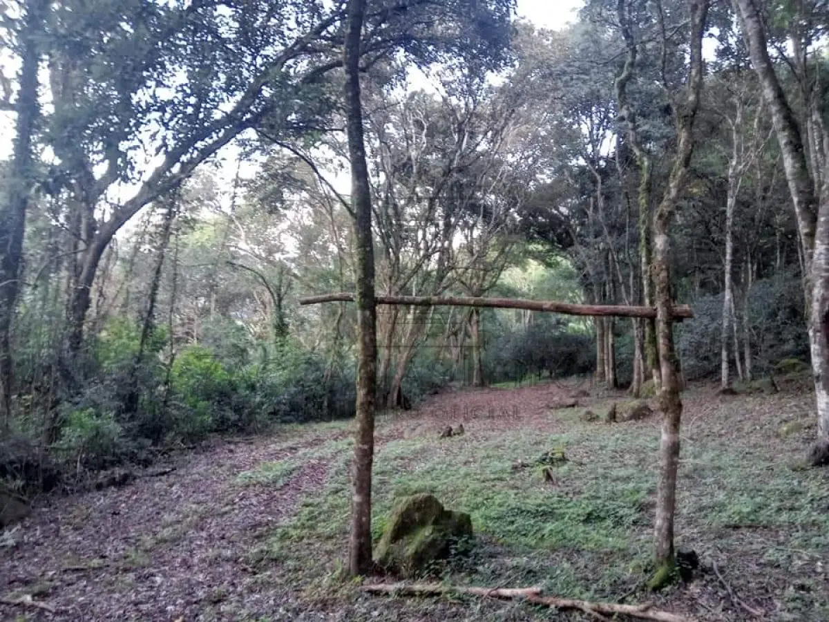 LOTE 001 - Imóvel: Parte do lote rural nº 25 da Linha 24 de Maio, neste município, com área de 20.000,00m²  (vinte mil metros quadrados) de terras, que confrontam: ao norte, por 100,00m, com o lote nº 23 parte de  Lírio Nelson Zafari e parte do espólio de Luiz Fortunato Basso; ao sul, por 100,00m, com terras do mesmo  lote nº 25, de Martin Bavaresco e sua mulher; ao leste, por 200,00m, com terras do mesmo lote nº 25,  de Ceran – Companhia Energética Rio das Antas, e ao oeste, por 200,00m, com terras do mesmo lote  nº 25, de Martin Bavaresco e sua mulher.