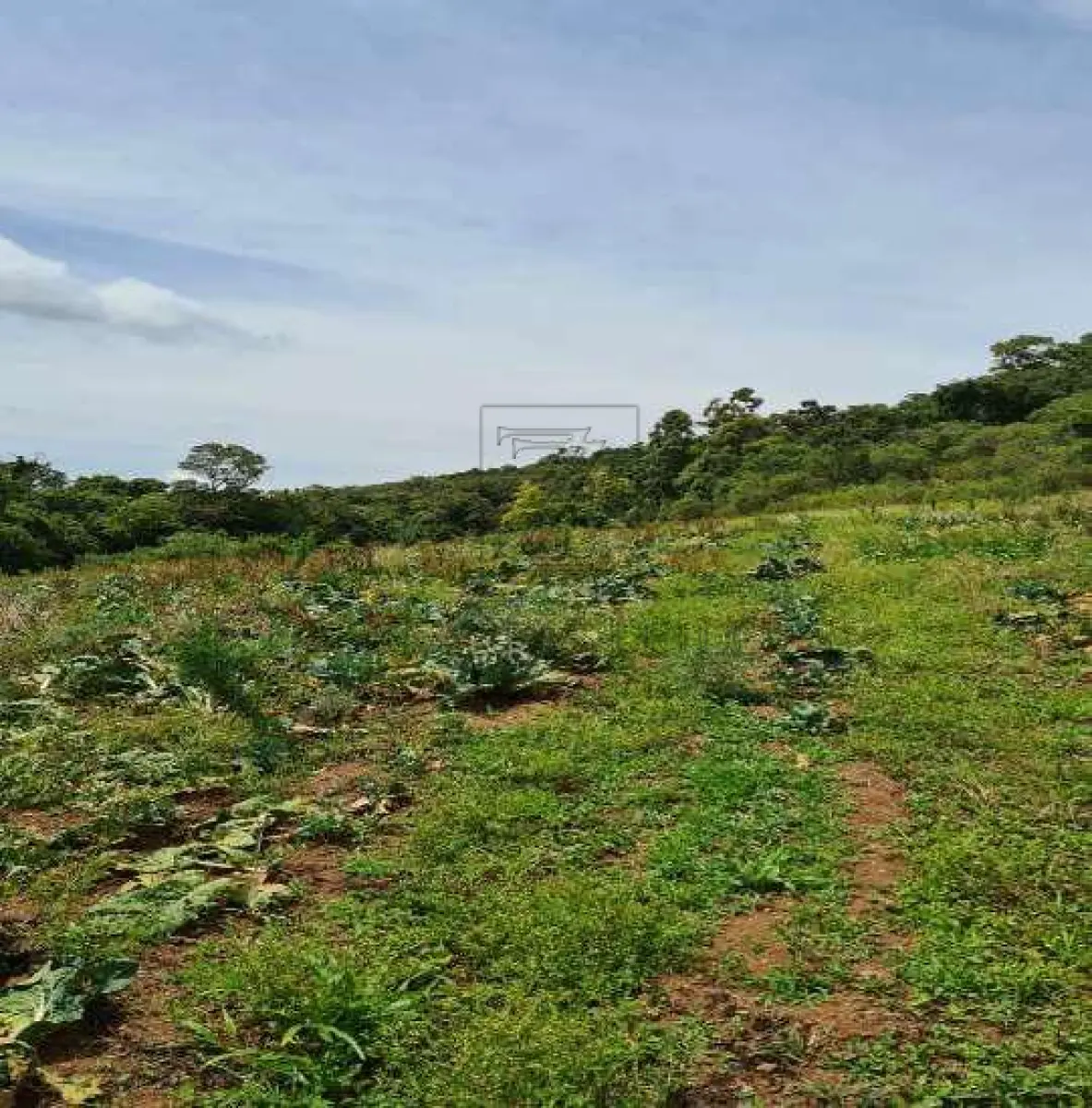LOTE 001 - IMOVEL - UMA GLEBA DE TERRAS, constituída de parte do lote rural nº 3, da Linha Anita Garibaldi, neste Município, com a área de 157.300,00m², sem benfeitorias, confrontando ao NORTE, por 97,00m, com o travessão de frente; ao SUL, por 187,00m, com parte do mesmo lote 03, de Genor Pasolini, ao LESTE, lado formado por três segmentos de reta: o primeiro, partindo da extremidade leste da confrontação sul, deflete para o norte por 701,6993m, onde confronta com o lote rural nº 01, da mesma Linha, de Névio Boccalon e outro, o segundo, a partir do primeiro, deflete para o oeste, por 90,00m, ao fim dos quais deflete para o norte, por 268,889m, confrontando nestes dois segmentos com parte do mesmo lote nº 03, de Nelvino Bocalon; e, ao OESTE, por 970,5883m, confronta com parte do mesmo lote no 03, de Affonso Bocalon e de Nelvino Bocalon, conforme Av. 02-299 do R.I. de Nova Bassano RS.