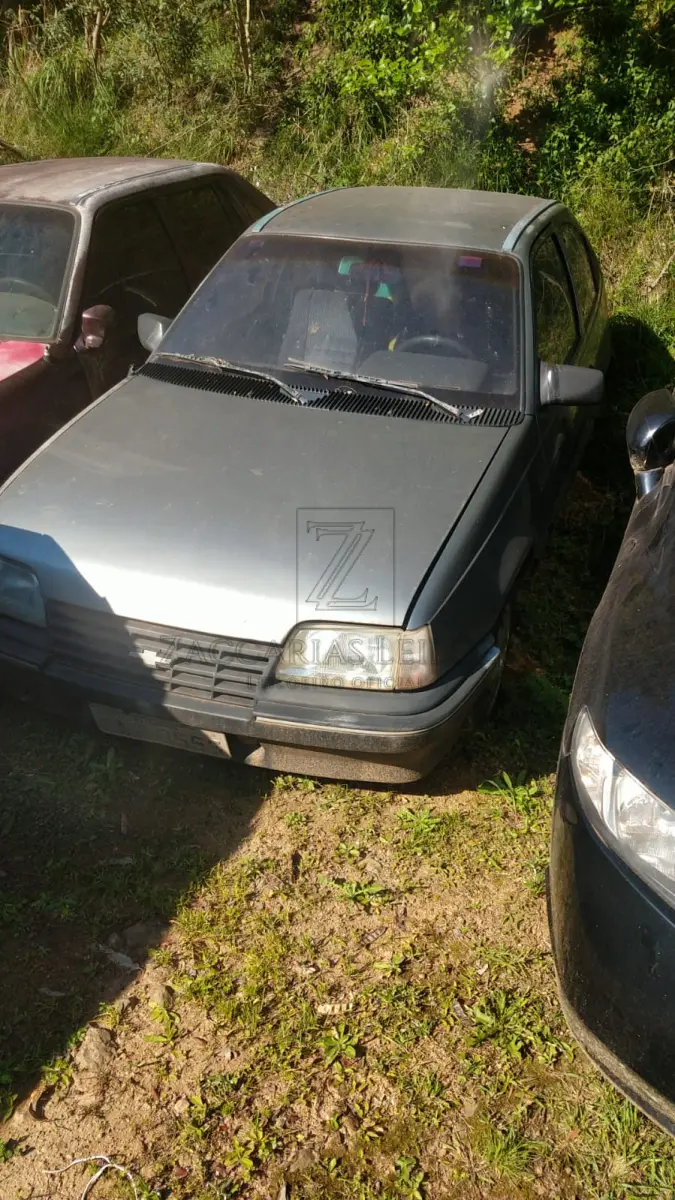 LOTE 004 - Um automóvel da marca GM-CHEVROLET/KADET SL/E, placas IAV-0555, na cor cinza, ano/modelo  1991/1992, RENAVAM 571301940.