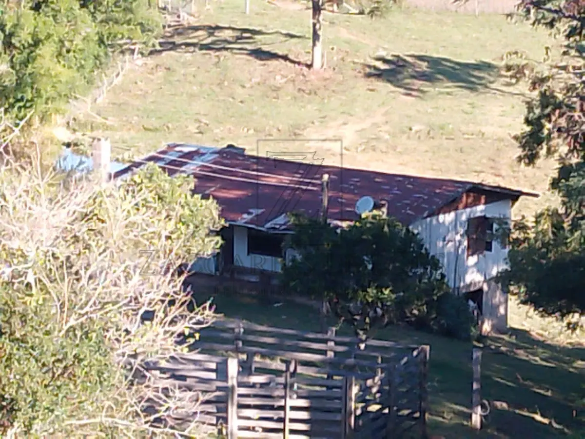 LOTE 001 - Imóvel: 50% (cinquenta por cento) do imóvel a seguir descrito: Parte 151.250,00m2 do lote  rural (cento n° 55 da Linha Barão do Triunfo, neste município, com a área de e cinquenta e um mil, duzentos  e cinquenta metros quadrados) de terras seguintes com casa de madeira, para fins residenciais, com a área  de 77,00m2, com as confrontações: ao norte, com terras do lote n° 56 da mesma Linha Barão do Triunfo,  Castilhos, pelo travessão de frente; ao sul, com terras do lote nº 56 da Linha Júlio de Barão do pelo Triunfo,  travessão e de fundos; ao leste, com terras do lote nº 53 da mesma Linha Baldissera ao oeste, com terras  do mesmo lote n° 55 de Assunta Arcari e outros, hoje de Leonildo Marinello e sua mulher. Tudo conforme  Matrícula nº 16.567 do R.I. da Comarca de Veranópolis RS.
