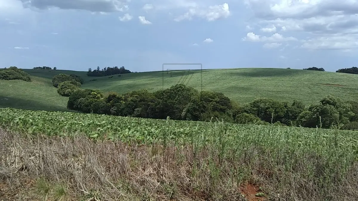 LOTE 001 - Uma fração de terras de cultura, com a área de oitenta mil metros  quadrados (80.000,00), sem benfeitorias, situada no lugar denominado São Roque, no 1º distrito deste  município, com as seguintes confrontações: ao Norte, com a estrada municipal; ao Sul, parte com terras  de Manoel Machado e parte com terras de Erich Sand; Leste com terras de Osmar Aldebrund; e, a Oeste,  com terras dos doadores. MATRÍCULA Nº 9.874 do R. I. DA Comarca de Ibirubá RS.