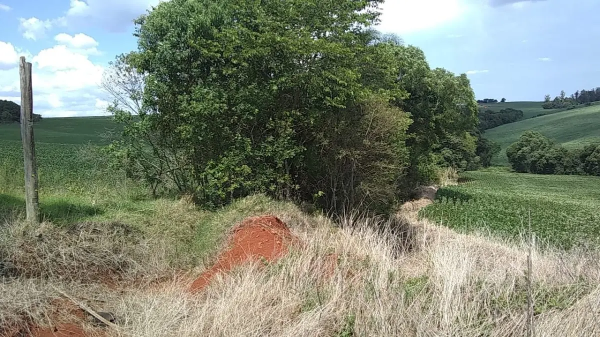 LOTE 001 - Uma fração de terras de cultura, com a área de oitenta mil metros  quadrados (80.000,00), sem benfeitorias, situada no lugar denominado São Roque, no 1º distrito deste  município, com as seguintes confrontações: ao Norte, com a estrada municipal; ao Sul, parte com terras  de Manoel Machado e parte com terras de Erich Sand; Leste com terras de Osmar Aldebrund; e, a Oeste,  com terras dos doadores. MATRÍCULA Nº 9.874 do R. I. DA Comarca de Ibirubá RS.