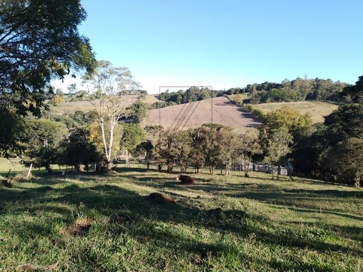 LOTE 001 - Imóvel: 50% (cinquenta por cento) do imóvel a seguir descrito: Parte 151.250,00m2 do lote  rural (cento n° 55 da Linha Barão do Triunfo, neste município, com a área de e cinquenta e um mil, duzentos  e cinquenta metros quadrados) de terras seguintes com casa de madeira, para fins residenciais, com a área  de 77,00m2, com as confrontações: ao norte, com terras do lote n° 56 da mesma Linha Barão do Triunfo,  Castilhos, pelo travessão de frente; ao sul, com terras do lote nº 56 da Linha Júlio de Barão do pelo Triunfo,  travessão e de fundos; ao leste, com terras do lote nº 53 da mesma Linha Baldissera ao oeste, com terras  do mesmo lote n° 55 de Assunta Arcari e outros, hoje de Leonildo Marinello e sua mulher. Tudo conforme  Matrícula nº 16.567 do R.I. da Comarca de Veranópolis RS.