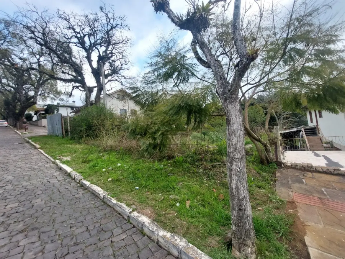 LOTE 001 - Imóvel - TERRENO URBANO, constituído de partes dos lotes números 27 e 29, da Avenida Borges de Medeiros, nesta cidade, localizado no quarteirão formado pelas Avenidas Borges de Medeiros, Julio de Castilhos e Cônego Peres e rua Adolfo Cerri, com a área de 750m2, sem benfeitorias, confrontando: ao NORTE, donde dista 146,00m da esquina da Avenida Júlio de Castilhos, na extensão de 50,00m de frente do fundo, com o mesmo lote, de Josué Severiano Menin; ao Sul, na mesma extensão, de 50,00m de frente ao fundo, com Pedro Antônio Davanzo; ao LESTE, mede 15m de frente à Avenida Borges de Medeiros, lado ímpar; e ao OESTE, onde tem a mesma medida da frente, com os lotes números 28 e 31 da Avenida Cônego Peres, sendo 7,00m do lote 27 e 8,00m do lote 29. MATRÍCULA Nº 12.204 do R.I. da Comarca de Nova Prata RS.