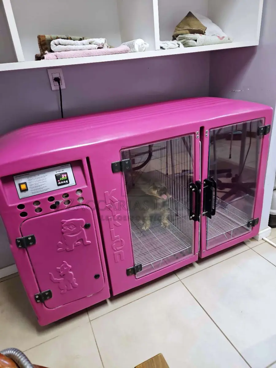 LOTE 018 - Uma  máquina de secar animais, da marca KYKLON.