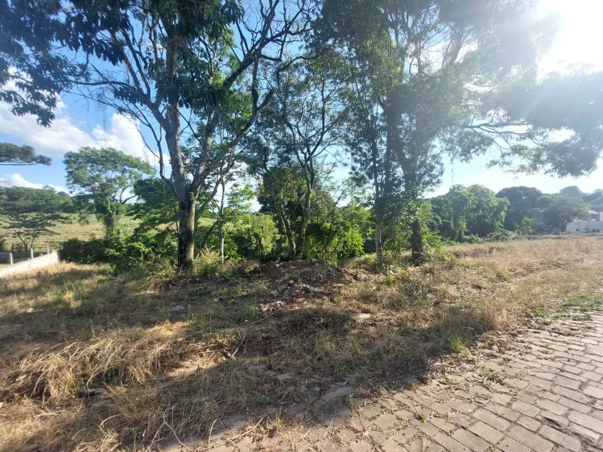 LOTE 002 - Lote nº 44 do Loteamento “MEDIANEIRA III”,  nesta cidade, com a denominação administrativa de lote nº 24 da quadra 03, zona 11, distrito 01, com  área de R$ 360,00m2 (trezentos e sessenta metros quadrados) de terras, que distam em seu lado oeste  12,00 metros da esquina formada pelas ruas Luiz Piccoli e Isidoro Guilherme Dall Agnol, no lado par  desta, no quarteirão formado por essas duas ruas, mais a rua São Paulo e terras do lote rural nº 63, e  que confrontam: ao norte, por 12,00 metros com a rua e Isidoro Guilherme Dall Agnol, ao sul, por 12,00  metros, com terras do lote rural nº 63, ao leste, por 30,00 metros, com o lote nº 36 e ao oeste, por 30,00  metros com o lote nº 12; sem benfeitorias. MATRÍCULA 12.422 DO LIVRO 2 DO OFÍCIO DE REGISTRO  DE IMÓVEIS DE VERANÓPOLIS/RS.