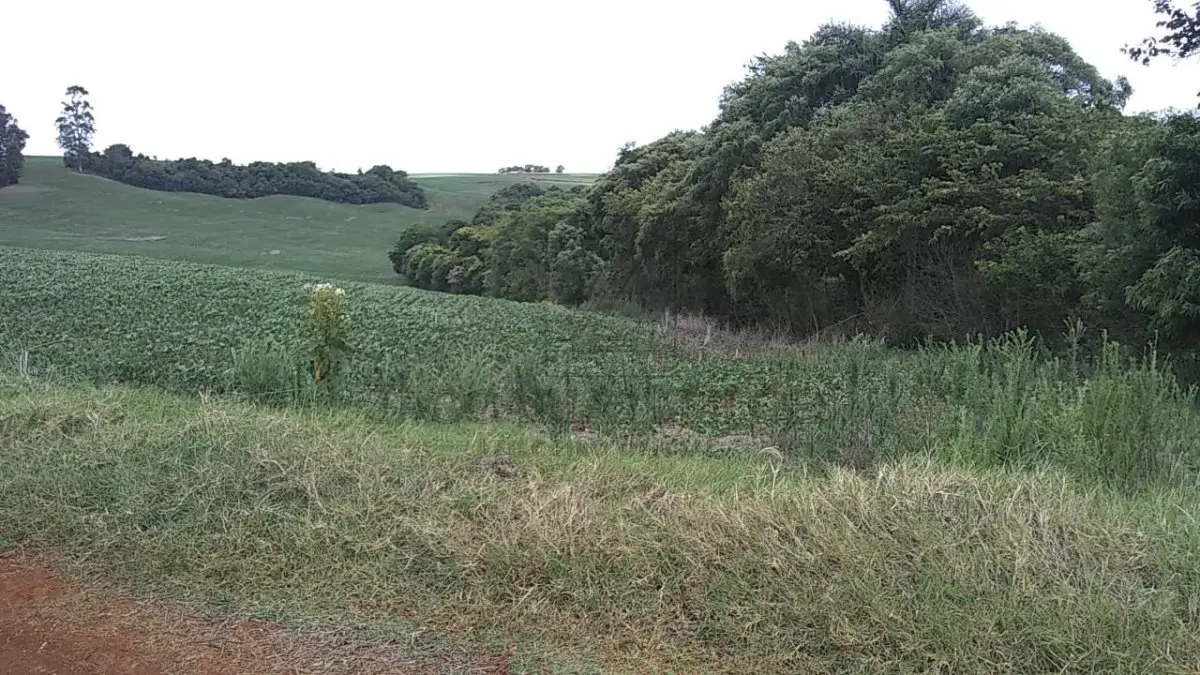 LOTE 001 - Uma fração de terras de cultura, com a área de oitenta mil metros  quadrados (80.000,00), sem benfeitorias, situada no lugar denominado São Roque, no 1º distrito deste  município, com as seguintes confrontações: ao Norte, com a estrada municipal; ao Sul, parte com terras  de Manoel Machado e parte com terras de Erich Sand; Leste com terras de Osmar Aldebrund; e, a Oeste,  com terras dos doadores. MATRÍCULA Nº 9.874 do R. I. DA Comarca de Ibirubá RS.
