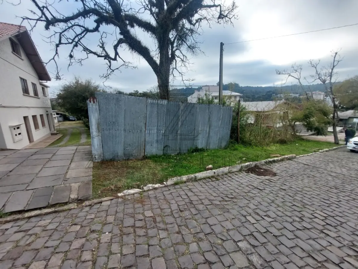 LOTE 001 - Imóvel - TERRENO URBANO, constituído de partes dos lotes números 27 e 29, da Avenida Borges de Medeiros, nesta cidade, localizado no quarteirão formado pelas Avenidas Borges de Medeiros, Julio de Castilhos e Cônego Peres e rua Adolfo Cerri, com a área de 750m2, sem benfeitorias, confrontando: ao NORTE, donde dista 146,00m da esquina da Avenida Júlio de Castilhos, na extensão de 50,00m de frente do fundo, com o mesmo lote, de Josué Severiano Menin; ao Sul, na mesma extensão, de 50,00m de frente ao fundo, com Pedro Antônio Davanzo; ao LESTE, mede 15m de frente à Avenida Borges de Medeiros, lado ímpar; e ao OESTE, onde tem a mesma medida da frente, com os lotes números 28 e 31 da Avenida Cônego Peres, sendo 7,00m do lote 27 e 8,00m do lote 29. MATRÍCULA Nº 12.204 do R.I. da Comarca de Nova Prata RS.