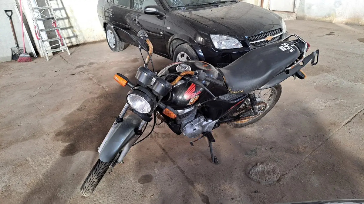 LOTE 0242