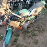 Foto 1
