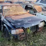 Foto 7