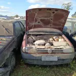 Foto 4