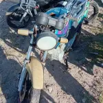 Foto 15