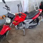 Foto 1