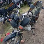 Foto 14