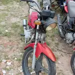 Foto 14