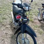 Foto 15