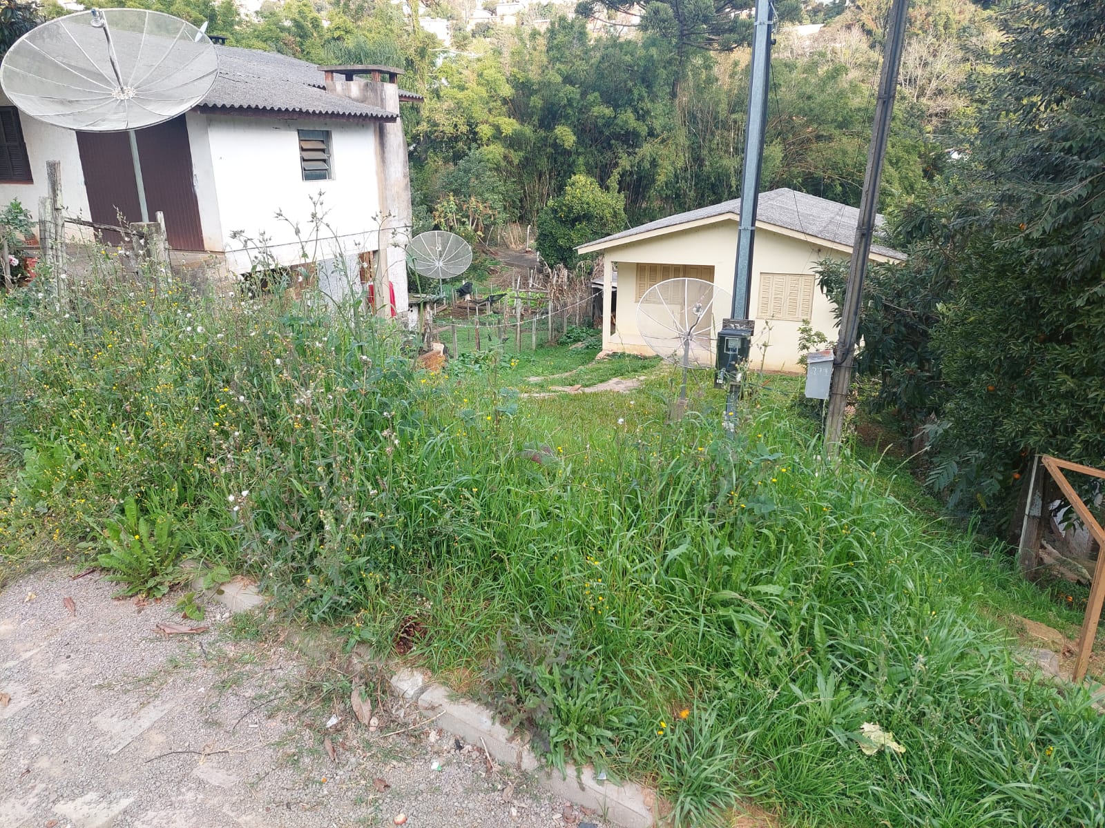 Foto 2