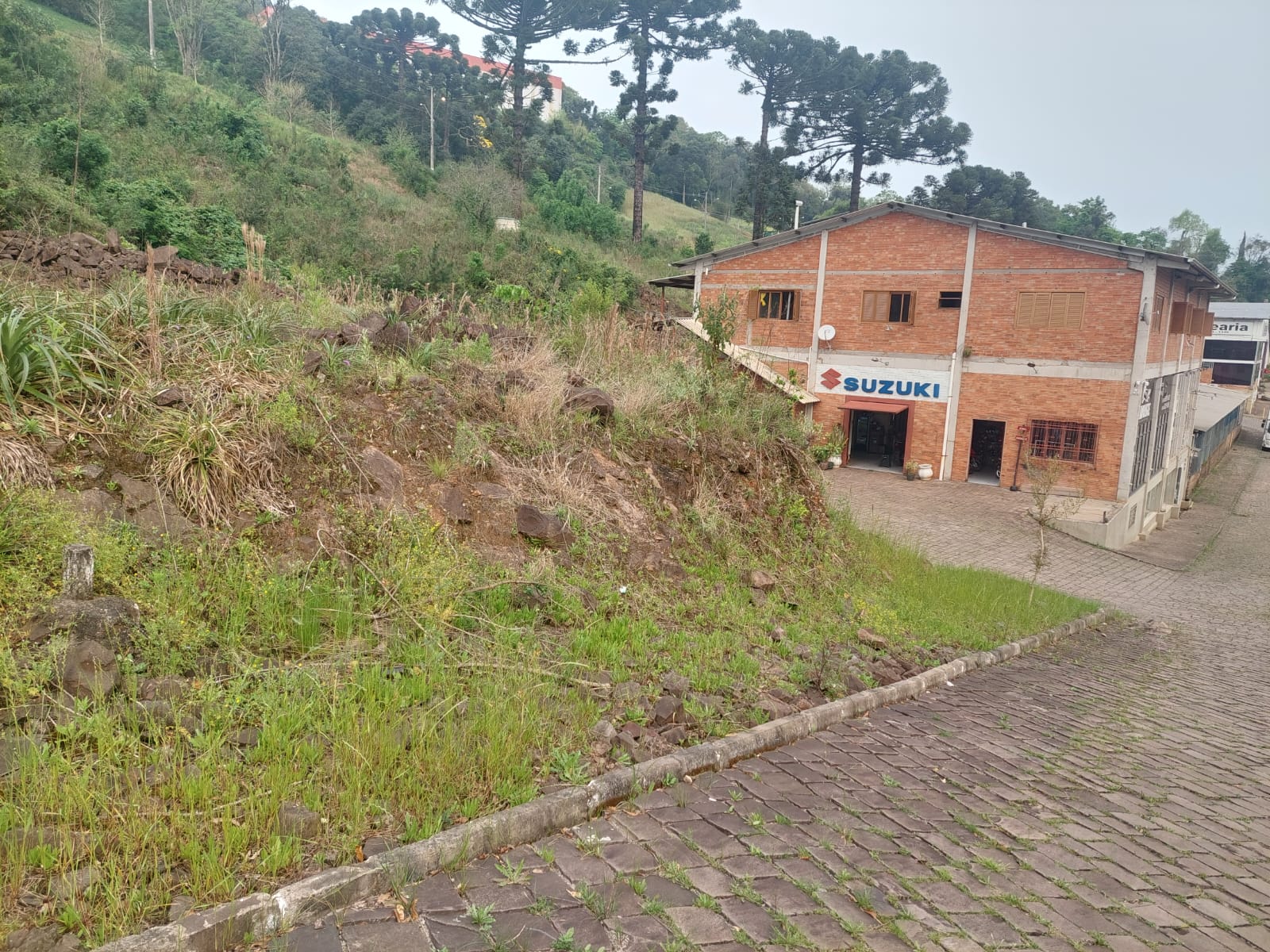Foto 1